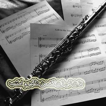 بزن نی زن که من دلگیرم امشب از علی میرزایی